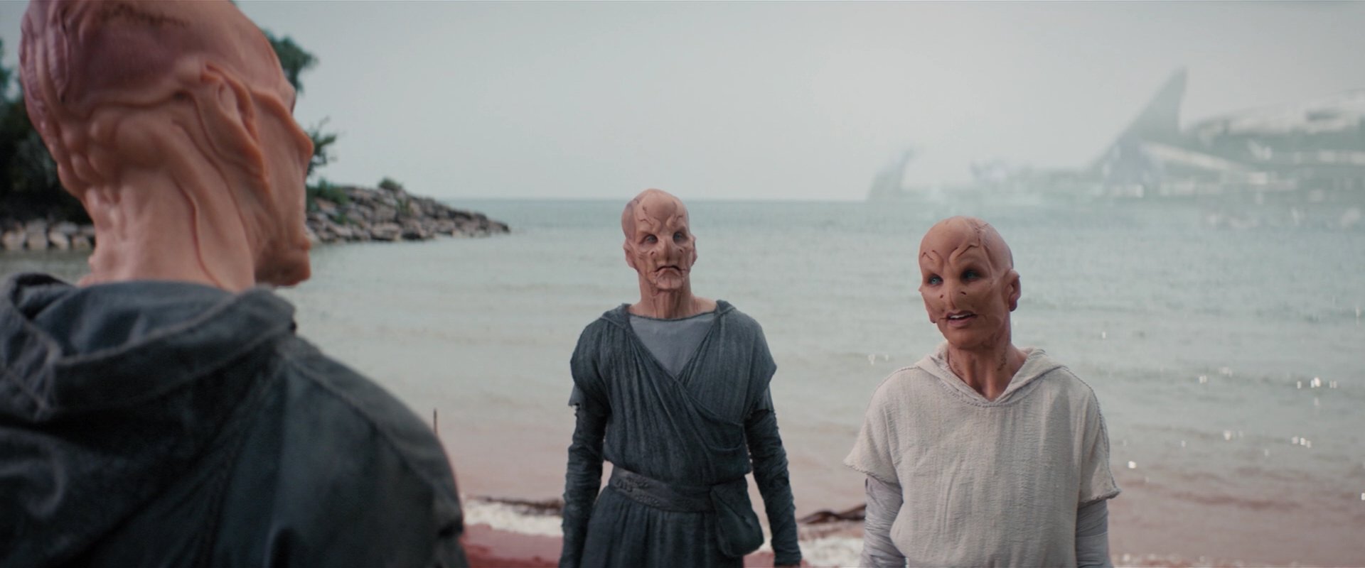 extant_StarTrekDiscovery_2x06-TheSoundsOfThunder_05797.jpg