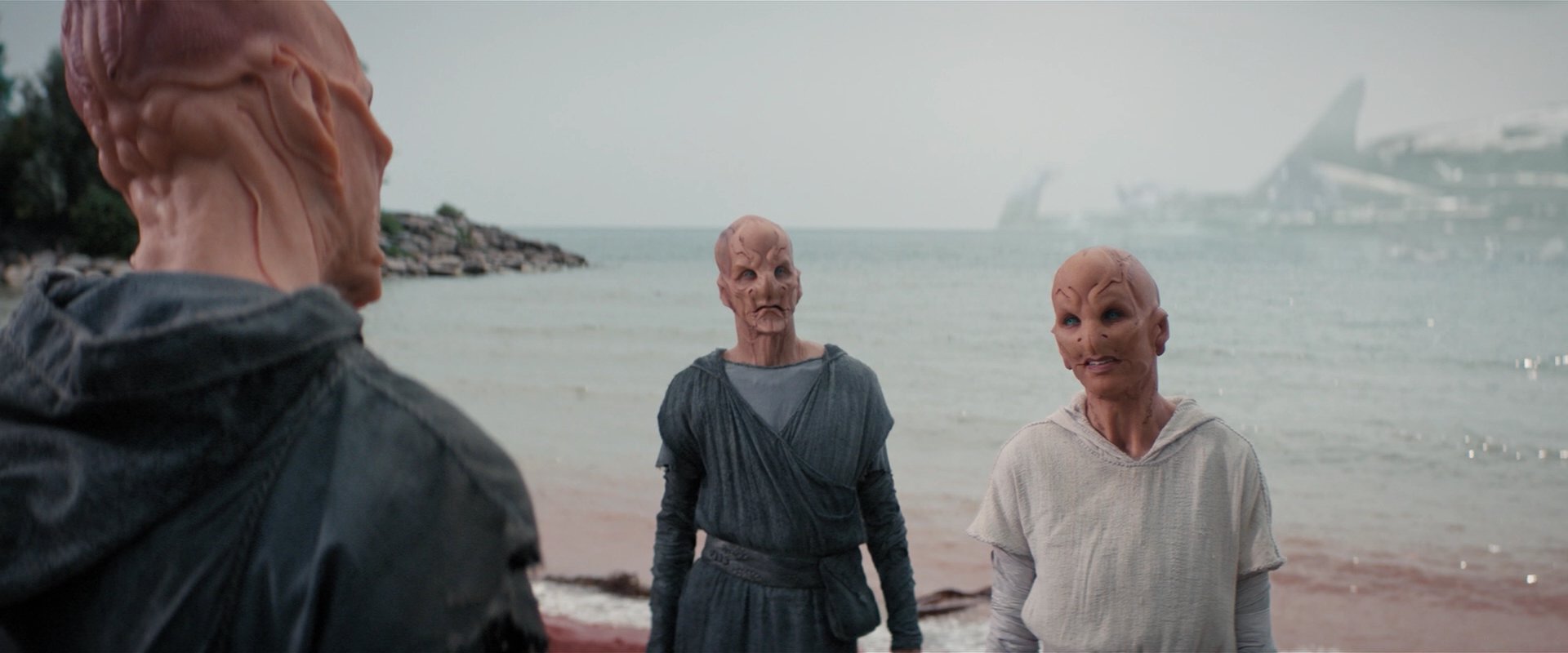 extant_StarTrekDiscovery_2x06-TheSoundsOfThunder_05798.jpg