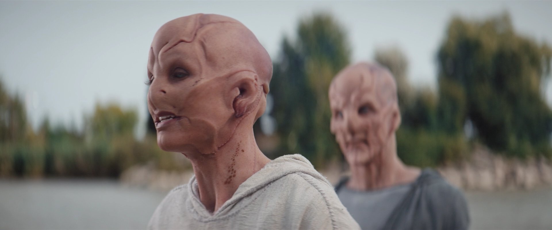 extant_StarTrekDiscovery_2x06-TheSoundsOfThunder_05800.jpg