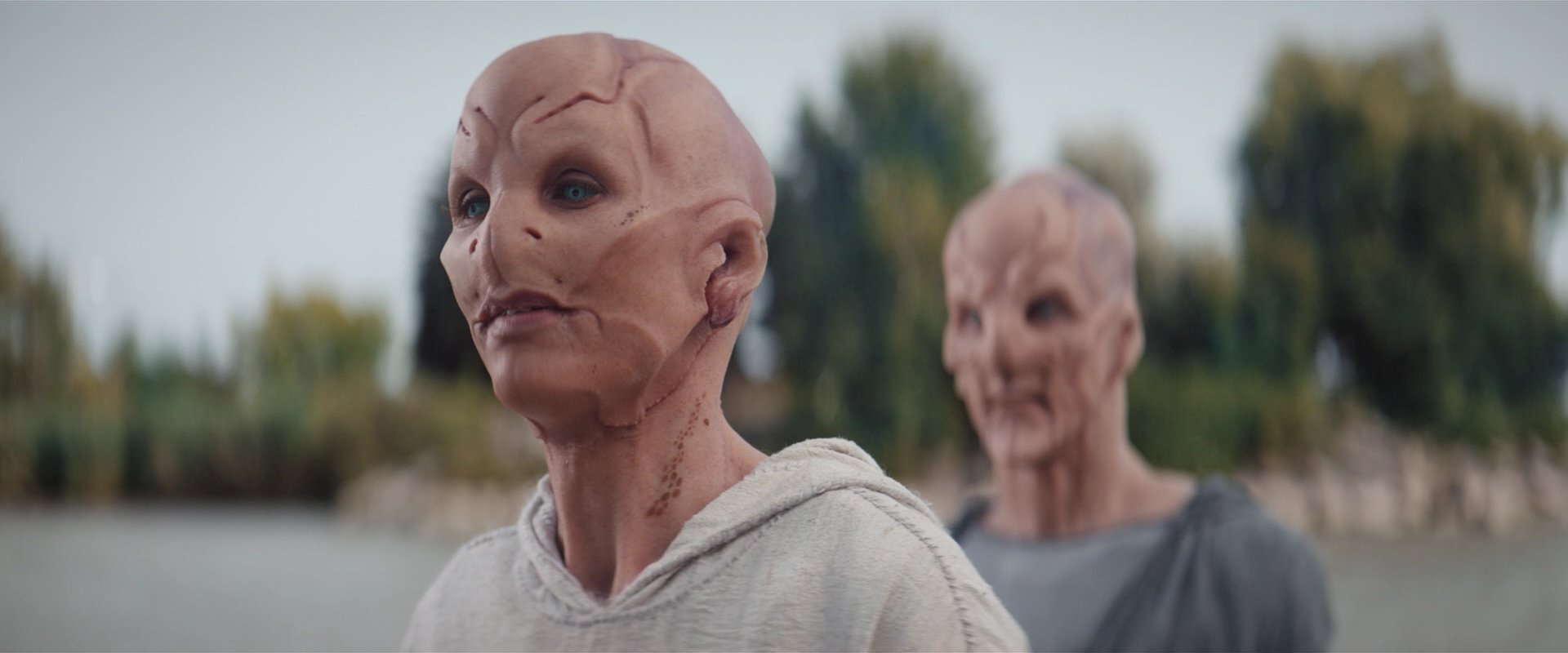 extant_StarTrekDiscovery_2x06-TheSoundsOfThunder_05801.jpg