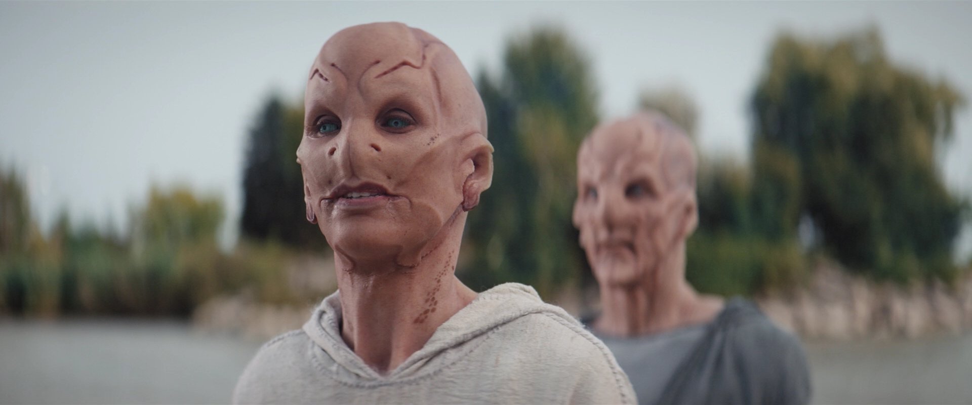 extant_StarTrekDiscovery_2x06-TheSoundsOfThunder_05804.jpg