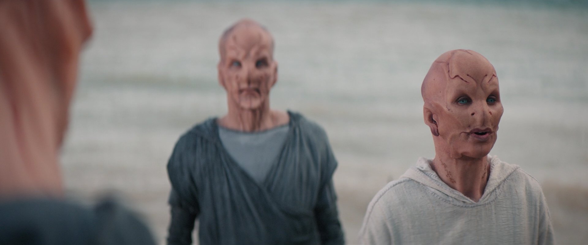 extant_StarTrekDiscovery_2x06-TheSoundsOfThunder_05806.jpg