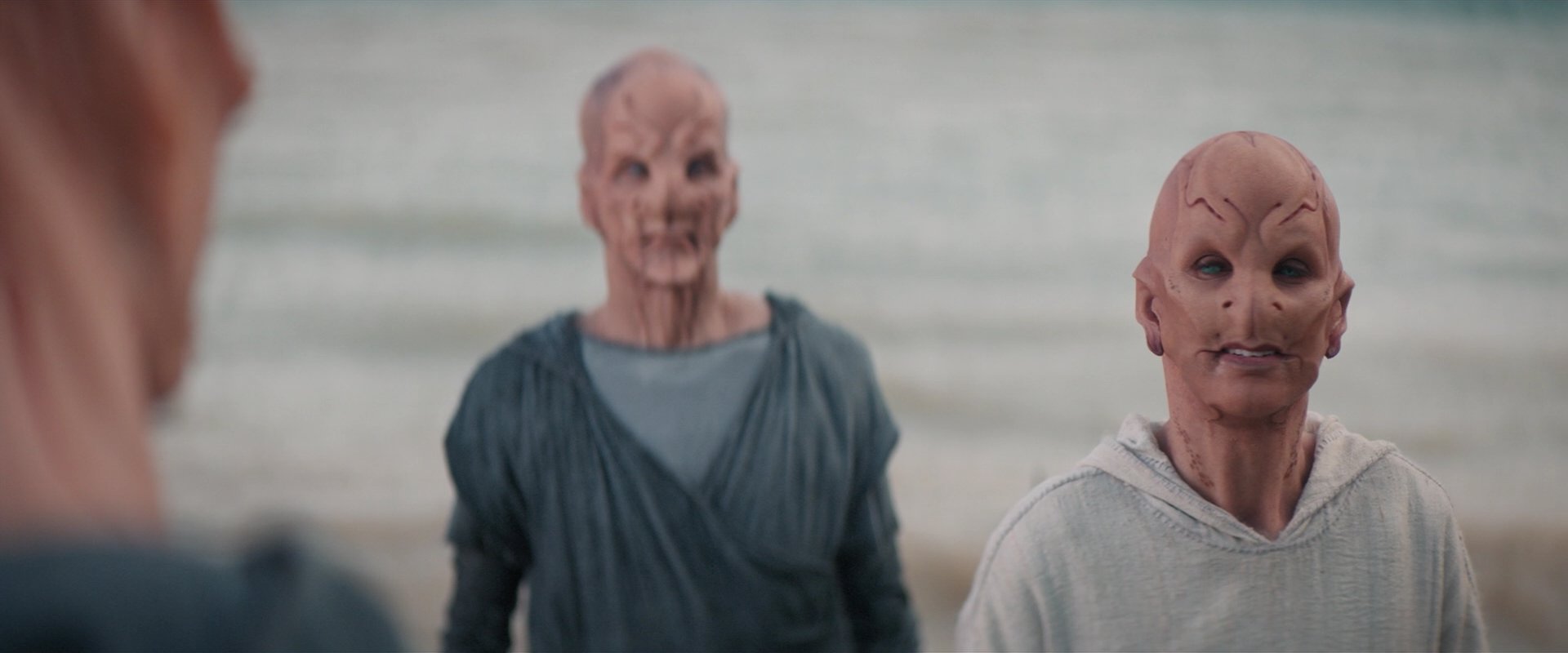 extant_StarTrekDiscovery_2x06-TheSoundsOfThunder_05807.jpg