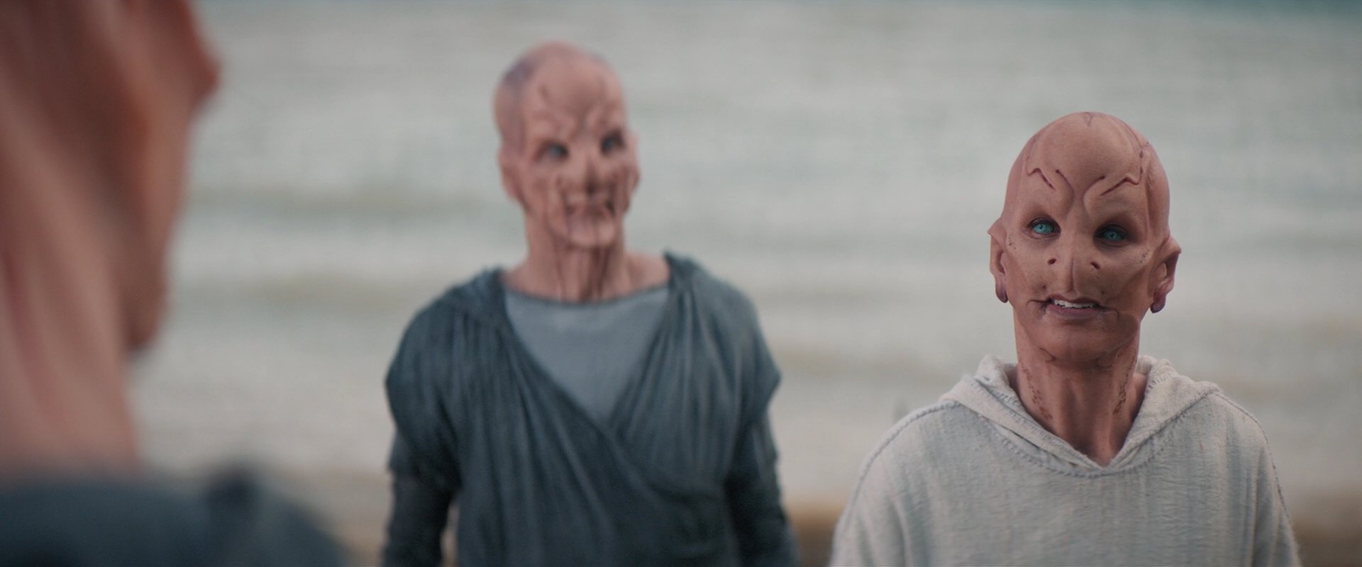 extant_StarTrekDiscovery_2x06-TheSoundsOfThunder_05808.jpg