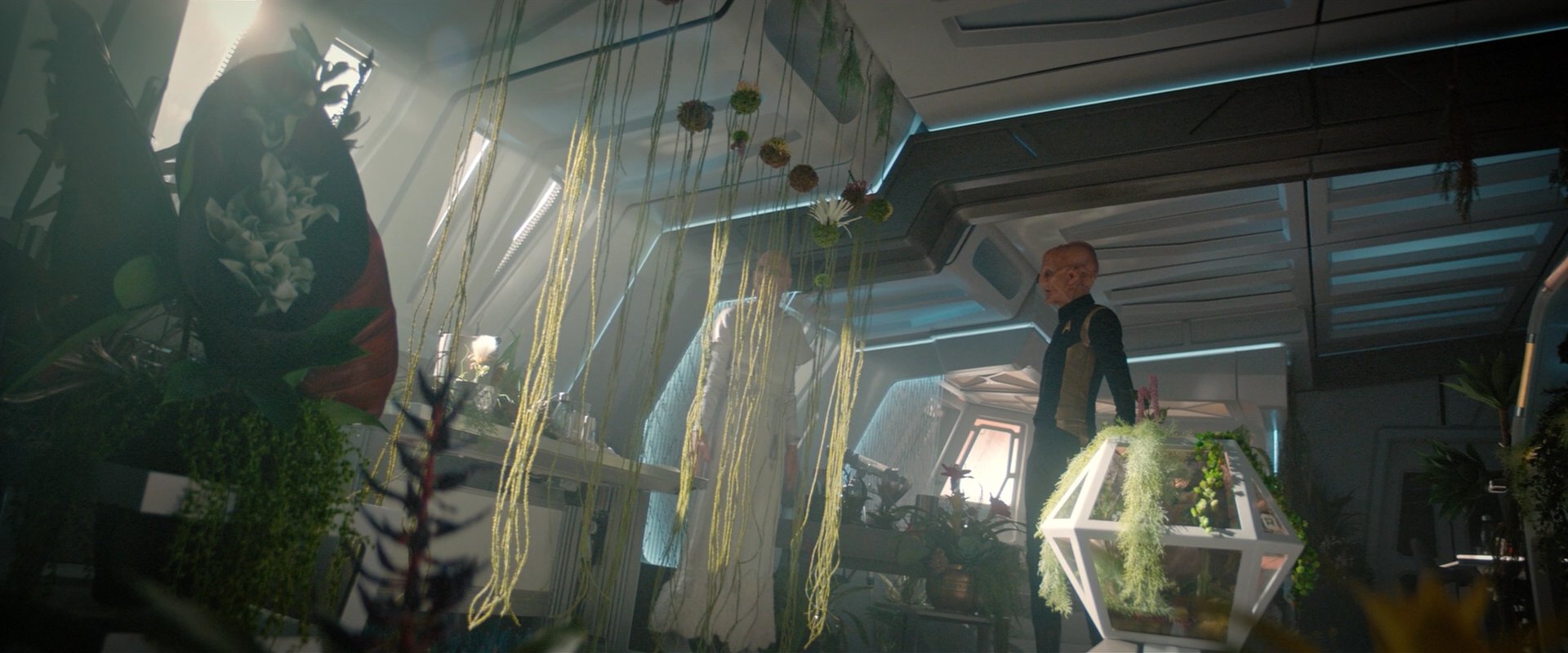 extant_StarTrekDiscovery_2x06-TheSoundsOfThunder_06134.jpg
