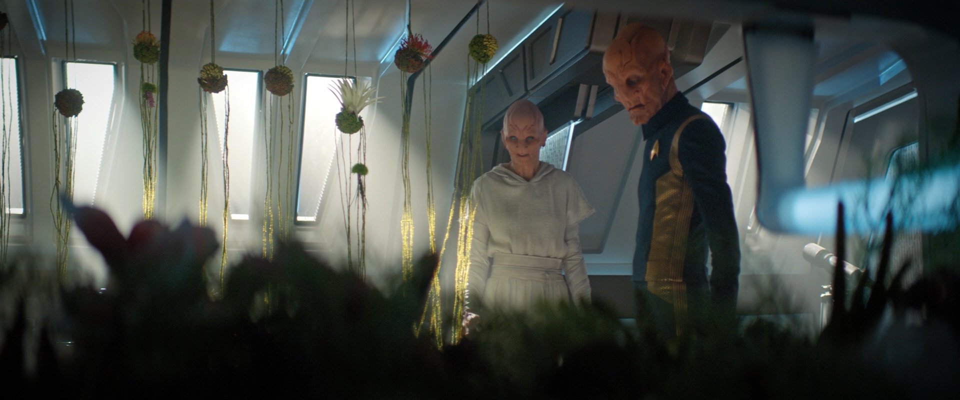 extant_StarTrekDiscovery_2x06-TheSoundsOfThunder_06145.jpg