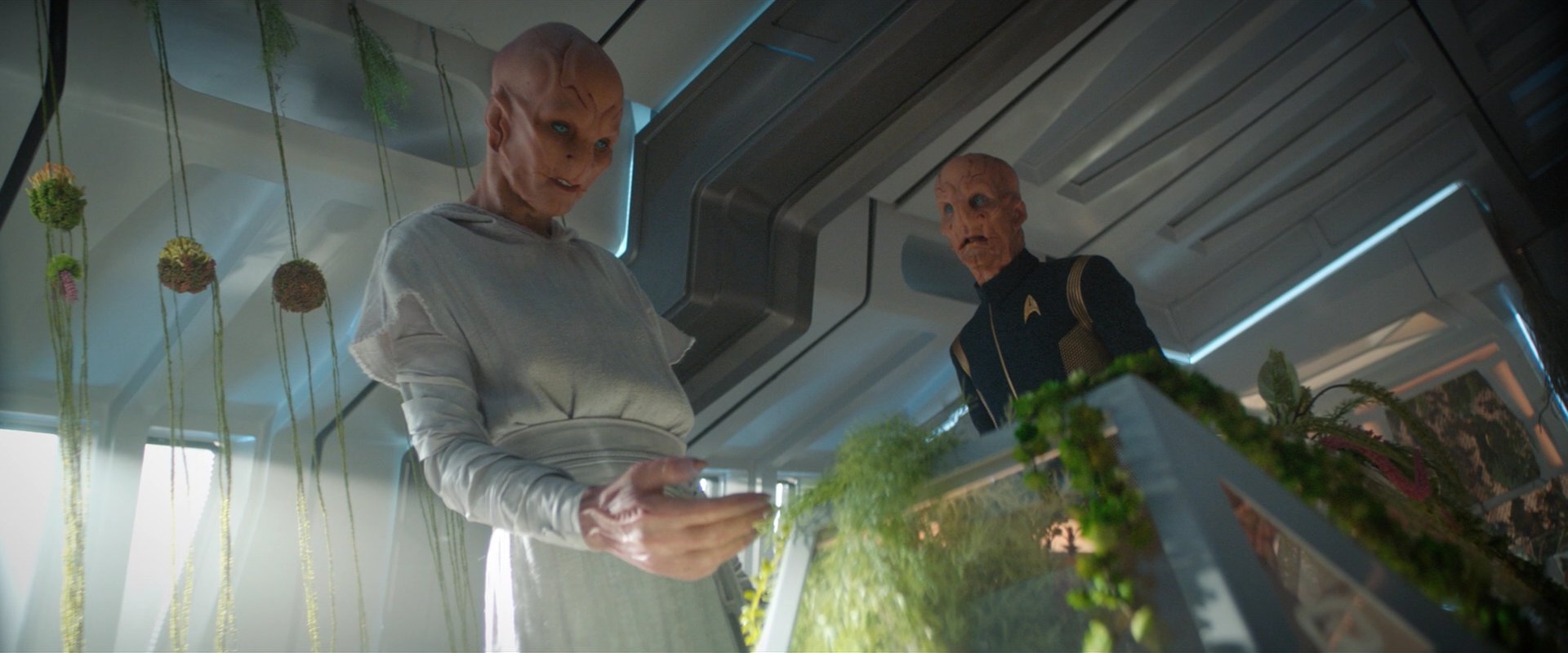 extant_StarTrekDiscovery_2x06-TheSoundsOfThunder_06153.jpg