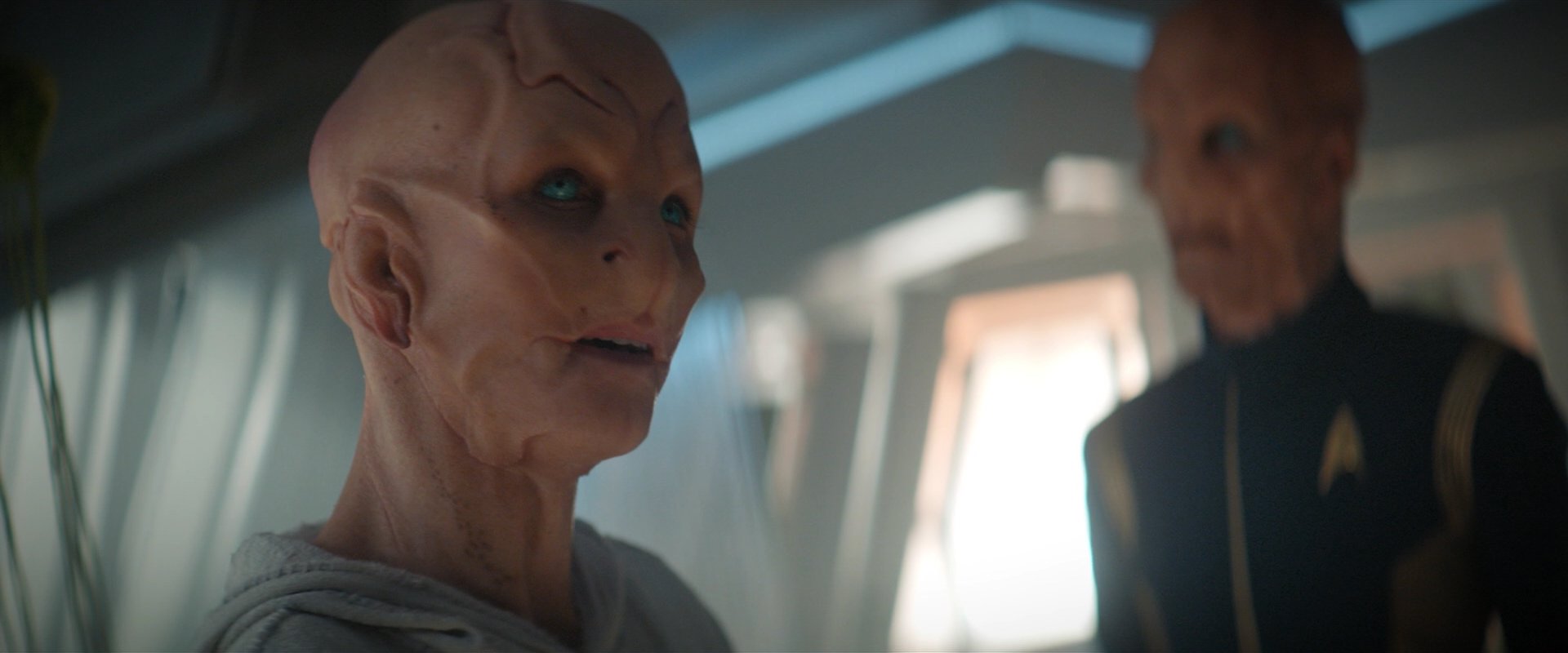 extant_StarTrekDiscovery_2x06-TheSoundsOfThunder_06158.jpg