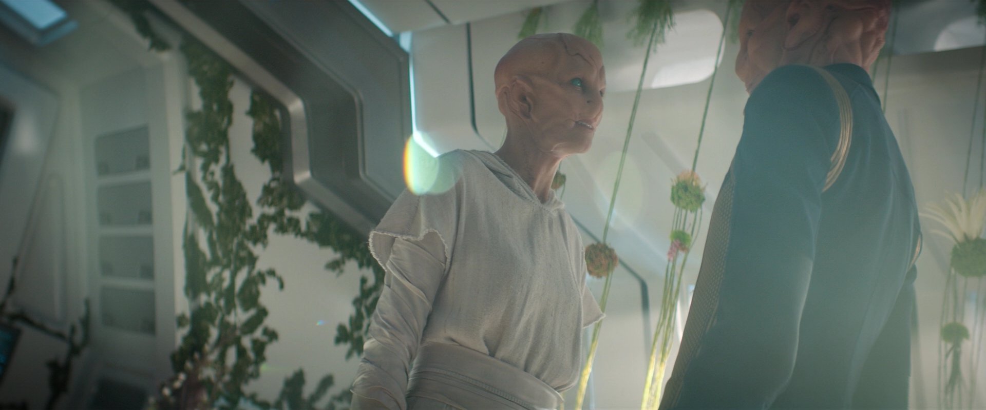 extant_StarTrekDiscovery_2x06-TheSoundsOfThunder_06200.jpg