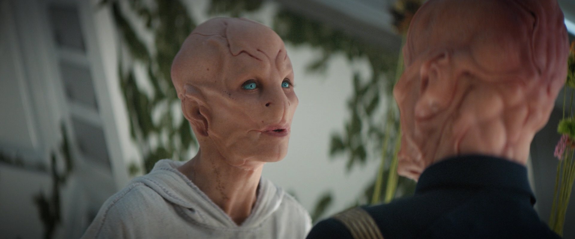 extant_StarTrekDiscovery_2x06-TheSoundsOfThunder_06204.jpg