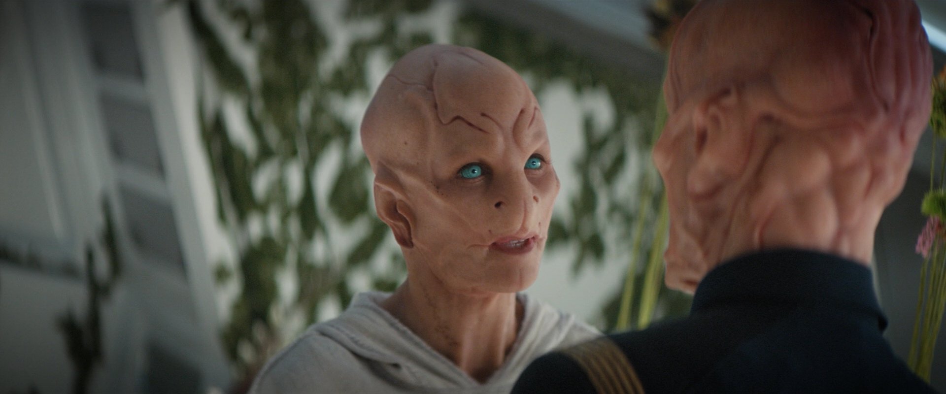 extant_StarTrekDiscovery_2x06-TheSoundsOfThunder_06207.jpg