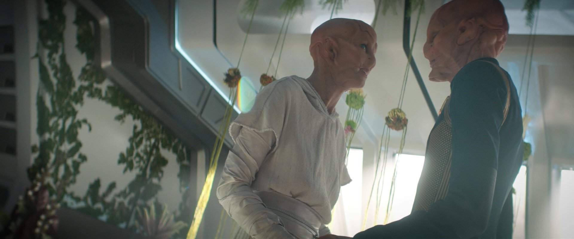 extant_StarTrekDiscovery_2x06-TheSoundsOfThunder_06227.jpg