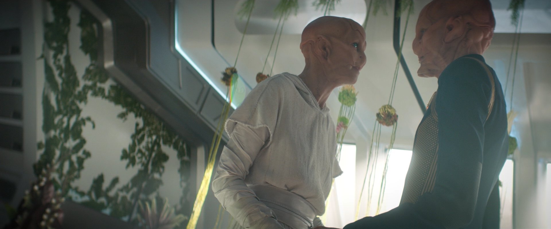 extant_StarTrekDiscovery_2x06-TheSoundsOfThunder_06229.jpg