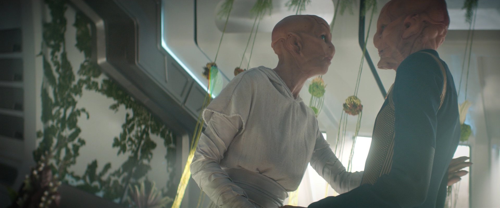 extant_StarTrekDiscovery_2x06-TheSoundsOfThunder_06231.jpg