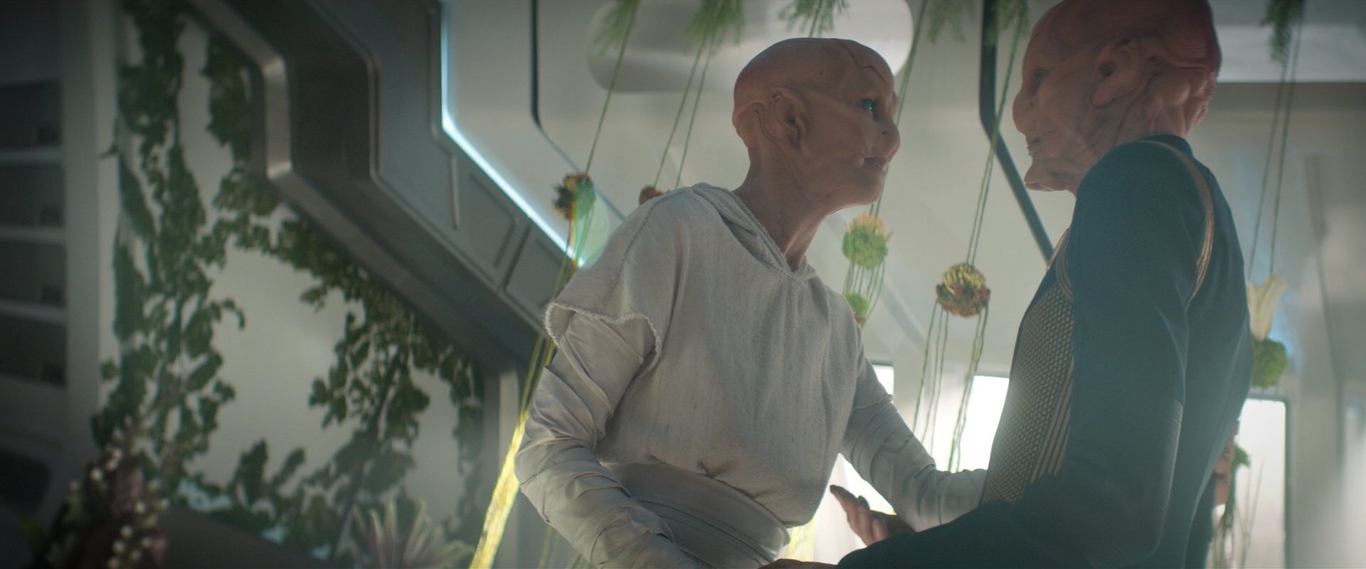 extant_StarTrekDiscovery_2x06-TheSoundsOfThunder_06232.jpg