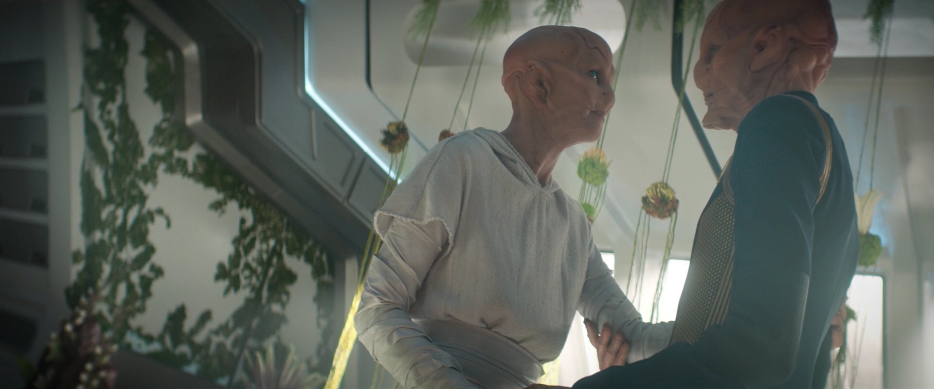 extant_StarTrekDiscovery_2x06-TheSoundsOfThunder_06233.jpg