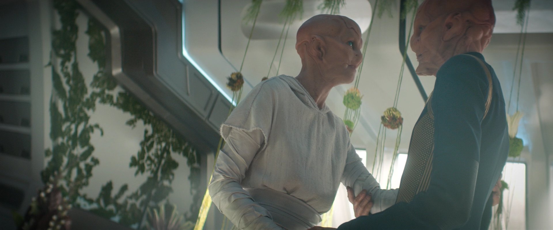 extant_StarTrekDiscovery_2x06-TheSoundsOfThunder_06234.jpg