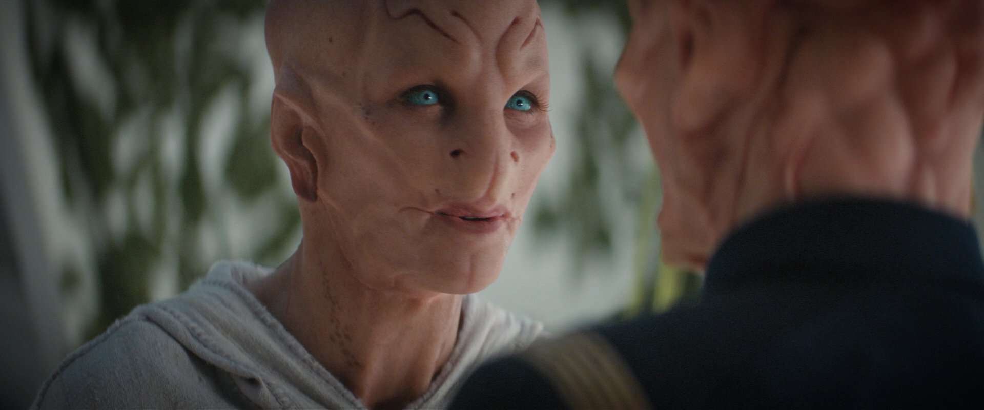 extant_StarTrekDiscovery_2x06-TheSoundsOfThunder_06240.jpg