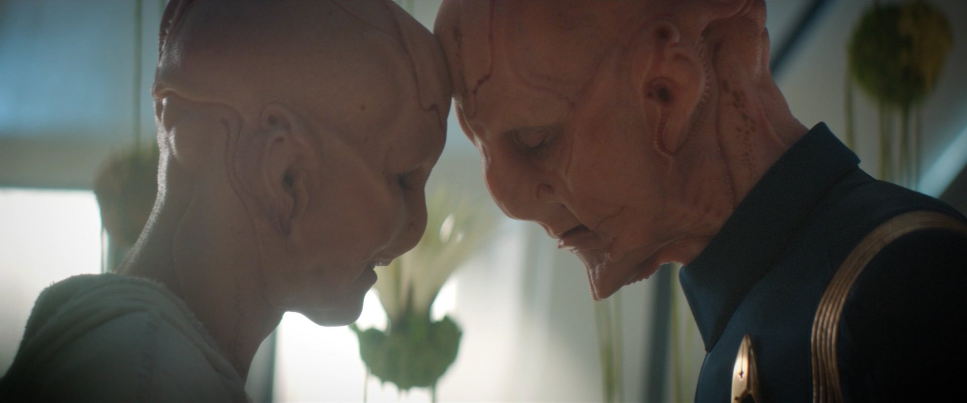 extant_StarTrekDiscovery_2x06-TheSoundsOfThunder_06250.jpg