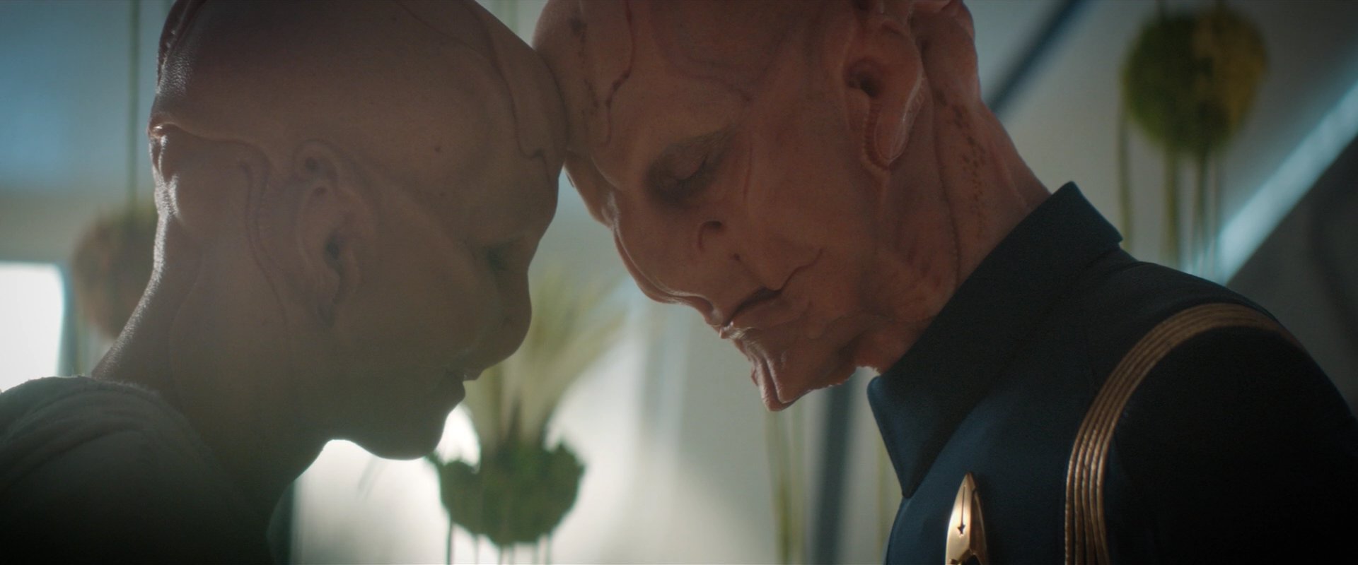 extant_StarTrekDiscovery_2x06-TheSoundsOfThunder_06254.jpg