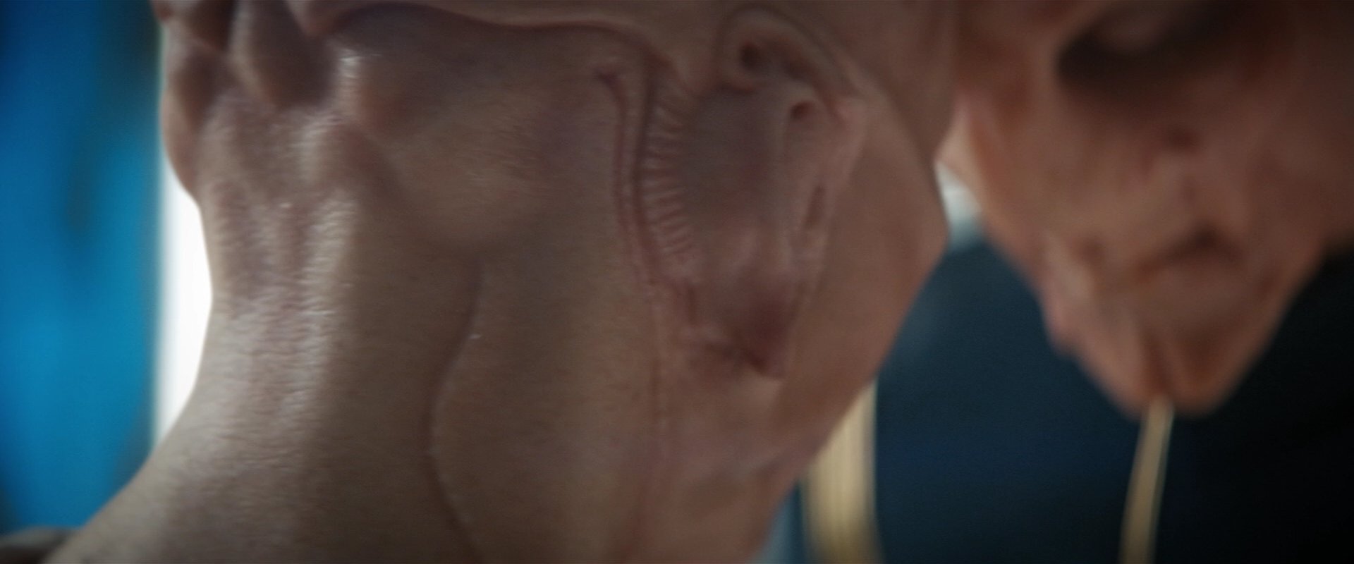 extant_StarTrekDiscovery_2x06-TheSoundsOfThunder_06265.jpg
