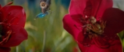 extant_StarTrekDiscovery_2x06-TheSoundsOfThunder_00182.jpg