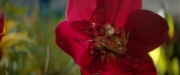 extant_StarTrekDiscovery_2x06-TheSoundsOfThunder_00183.jpg