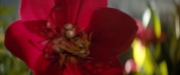 extant_StarTrekDiscovery_2x06-TheSoundsOfThunder_00184.jpg