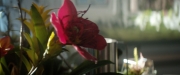 extant_StarTrekDiscovery_2x06-TheSoundsOfThunder_00190.jpg