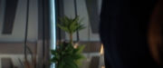 Filename=extant_StarTrekDiscovery_2x06-TheSoundsOfThunder_00214.jpg
Filesize=115KiB
Dimensions=1920x800
Date added=Dec 08, 2019 extant_StarTrekDiscovery_2x06-TheSoundsOfThunder_00214.jpg