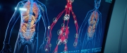 Filename=extant_StarTrekDiscovery_2x06-TheSoundsOfThunder_00578.jpg
Filesize=200KiB
Dimensions=1920x800
Date added=Dec 08, 2019 extant_StarTrekDiscovery_2x06-TheSoundsOfThunder_00578.jpg