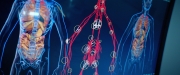 Filename=extant_StarTrekDiscovery_2x06-TheSoundsOfThunder_00579.jpg
Filesize=213KiB
Dimensions=1920x800
Date added=Dec 08, 2019 extant_StarTrekDiscovery_2x06-TheSoundsOfThunder_00579.jpg