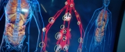 Filename=extant_StarTrekDiscovery_2x06-TheSoundsOfThunder_00580.jpg
Filesize=187KiB
Dimensions=1920x800
Date added=Dec 08, 2019 extant_StarTrekDiscovery_2x06-TheSoundsOfThunder_00580.jpg