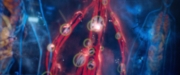 extant_StarTrekDiscovery_2x06-TheSoundsOfThunder_00582.jpg