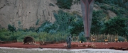 extant_StarTrekDiscovery_2x06-TheSoundsOfThunder_02051.jpg