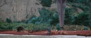 extant_StarTrekDiscovery_2x06-TheSoundsOfThunder_02052.jpg