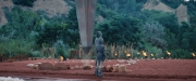 extant_StarTrekDiscovery_2x06-TheSoundsOfThunder_02188.jpg