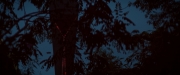 Filename=extant_StarTrekDiscovery_2x06-TheSoundsOfThunder_02941.jpg
Filesize=127KiB
Dimensions=1920x800
Date added=Dec 08, 2019 extant_StarTrekDiscovery_2x06-TheSoundsOfThunder_02941.jpg