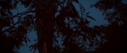 Filename=extant_StarTrekDiscovery_2x06-TheSoundsOfThunder_02942.jpg
Filesize=123KiB
Dimensions=1920x800
Date added=Dec 08, 2019 extant_StarTrekDiscovery_2x06-TheSoundsOfThunder_02942.jpg