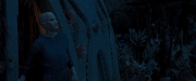 Filename=extant_StarTrekDiscovery_2x06-TheSoundsOfThunder_03921.jpg
Filesize=120KiB
Dimensions=1920x800
Date added=Dec 08, 2019 extant_StarTrekDiscovery_2x06-TheSoundsOfThunder_03921.jpg