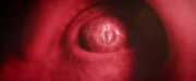 Filename=extant_StarTrekDiscovery_2x06-TheSoundsOfThunder_05577.jpg
Filesize=71KiB
Dimensions=1920x800
Date added=Dec 08, 2019 extant_StarTrekDiscovery_2x06-TheSoundsOfThunder_05577.jpg