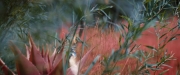 Filename=extant_StarTrekDiscovery_2x06-TheSoundsOfThunder_05715.jpg
Filesize=162KiB
Dimensions=1920x800
Date added=Dec 08, 2019 extant_StarTrekDiscovery_2x06-TheSoundsOfThunder_05715.jpg