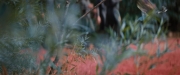 extant_StarTrekDiscovery_2x06-TheSoundsOfThunder_05717.jpg