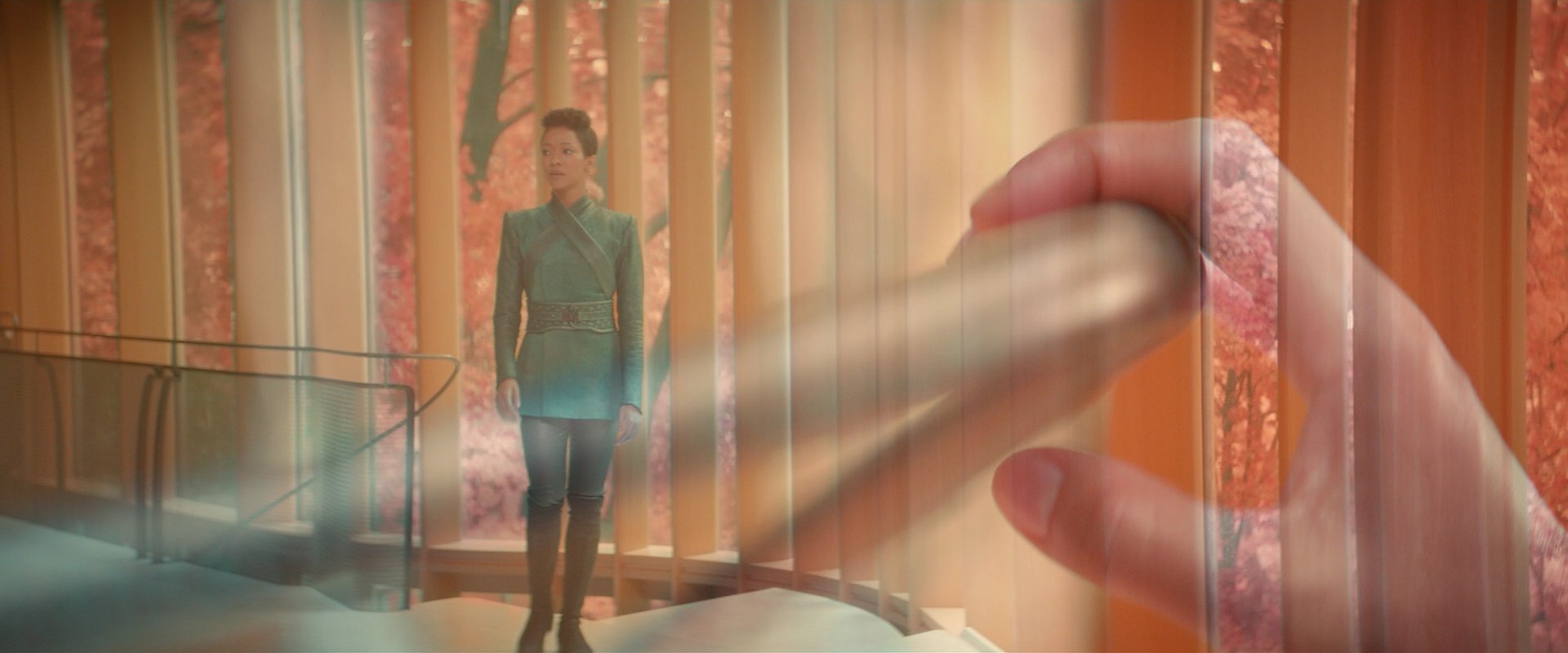extant_StarTrekDiscovery_2x07-LightAndShadows_00873.jpg