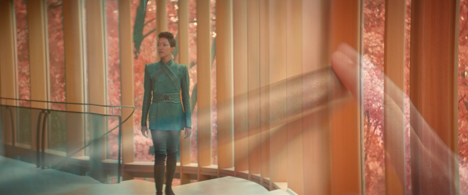 extant_StarTrekDiscovery_2x07-LightAndShadows_00874.jpg