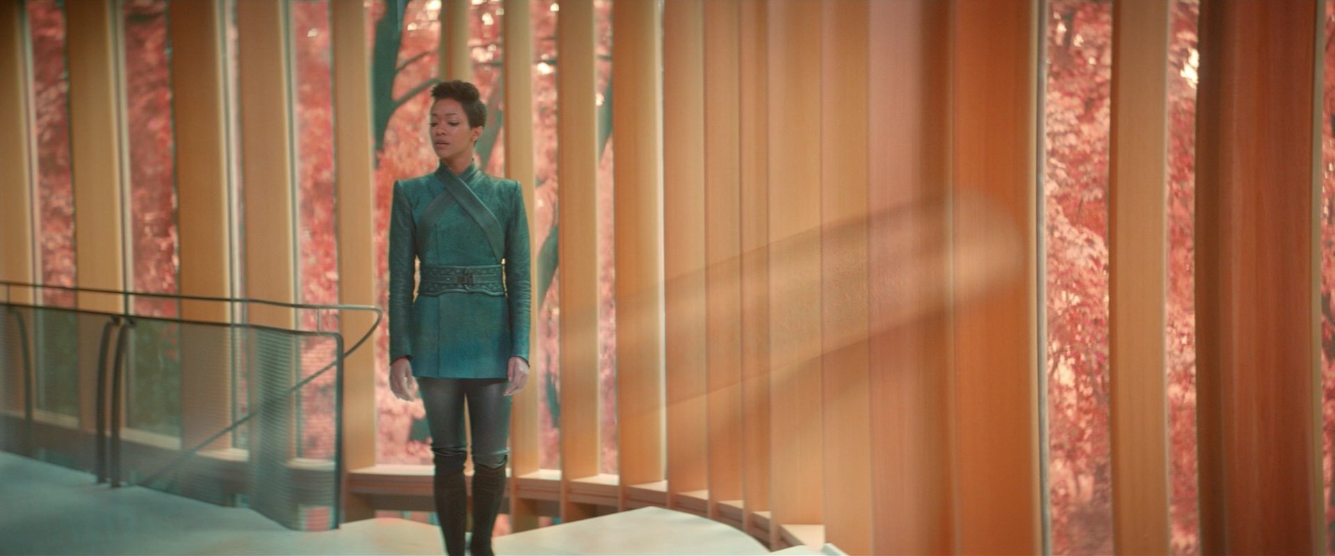 extant_StarTrekDiscovery_2x07-LightAndShadows_00875.jpg