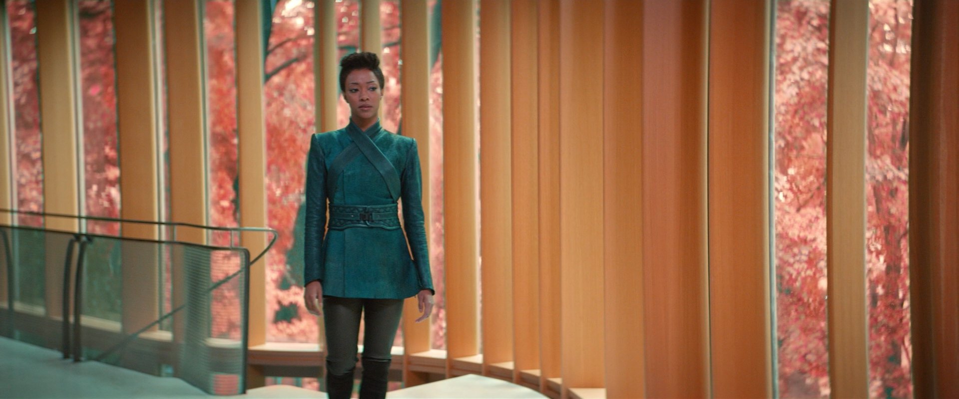 extant_StarTrekDiscovery_2x07-LightAndShadows_00877.jpg