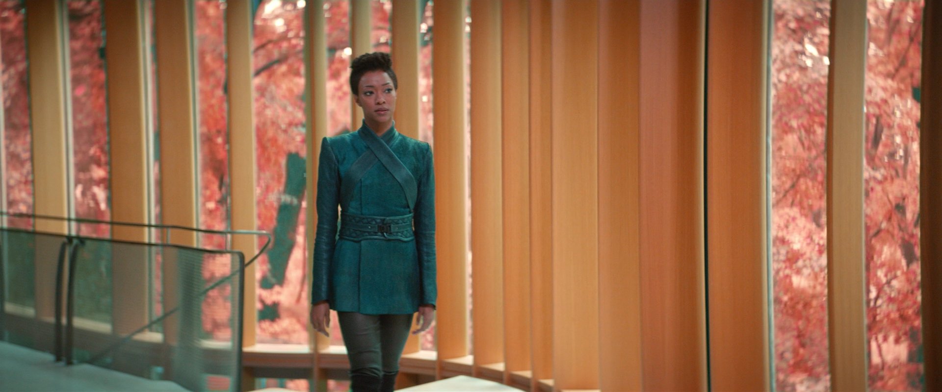extant_StarTrekDiscovery_2x07-LightAndShadows_00878.jpg