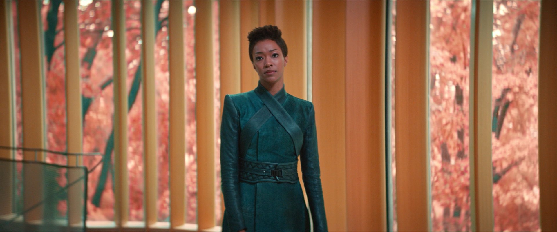 extant_StarTrekDiscovery_2x07-LightAndShadows_00882.jpg
