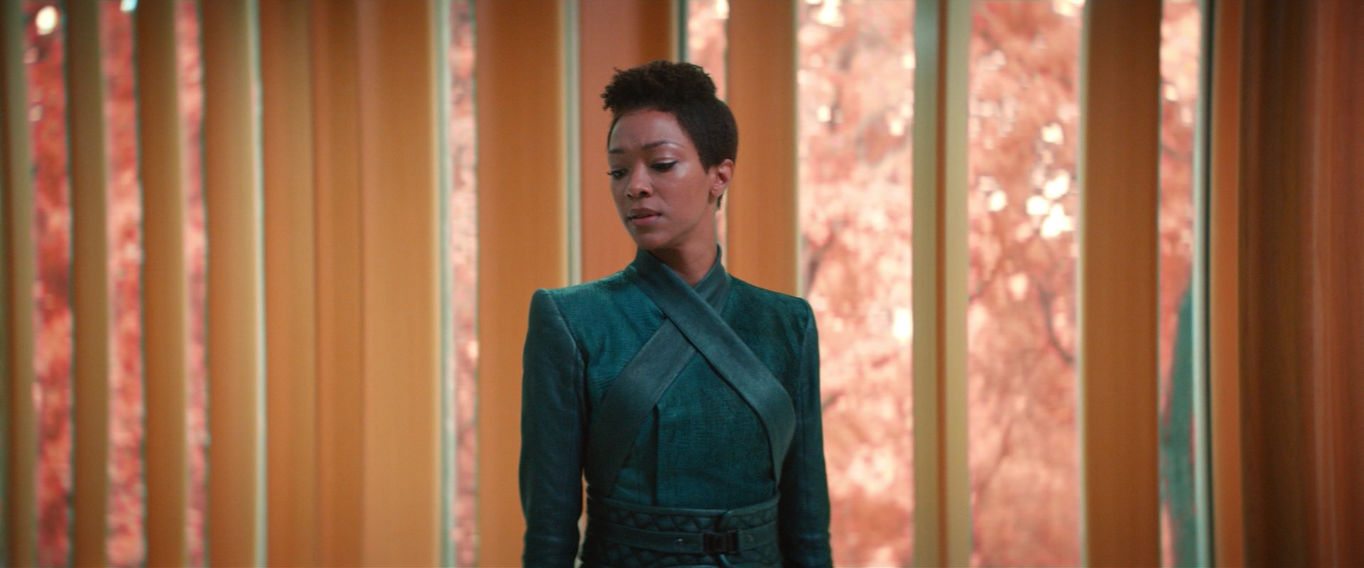 extant_StarTrekDiscovery_2x07-LightAndShadows_00885.jpg